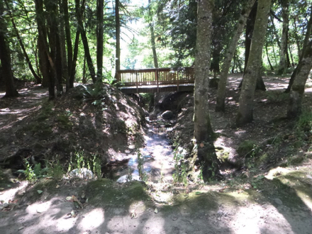 Short foot bridge on natural surface trail – parallels the paved 108th Street Trail